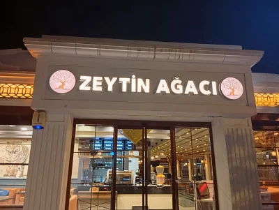 SARI PASLANMAZ FİLELİ